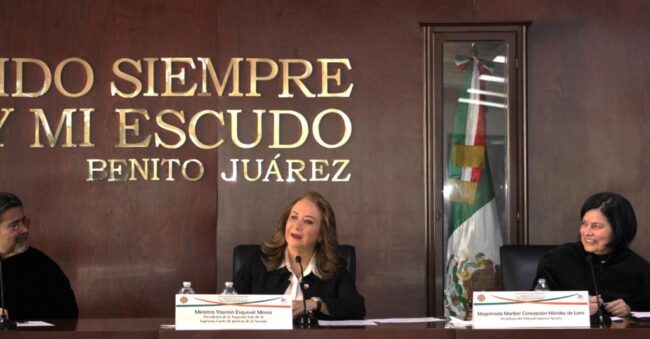 invalidación de su cédula profesional como abogada tendría un impacto devastador para las arcas de la Ciudad de México, con el riesgo de incluso colapsar el sistema de justicia administrativa local.