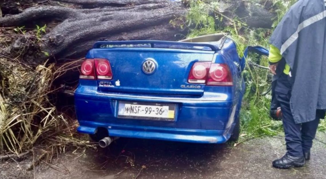 Cae árbol sobre auto en colonia Nápoles; mujer muere y su bebé sobrevive.