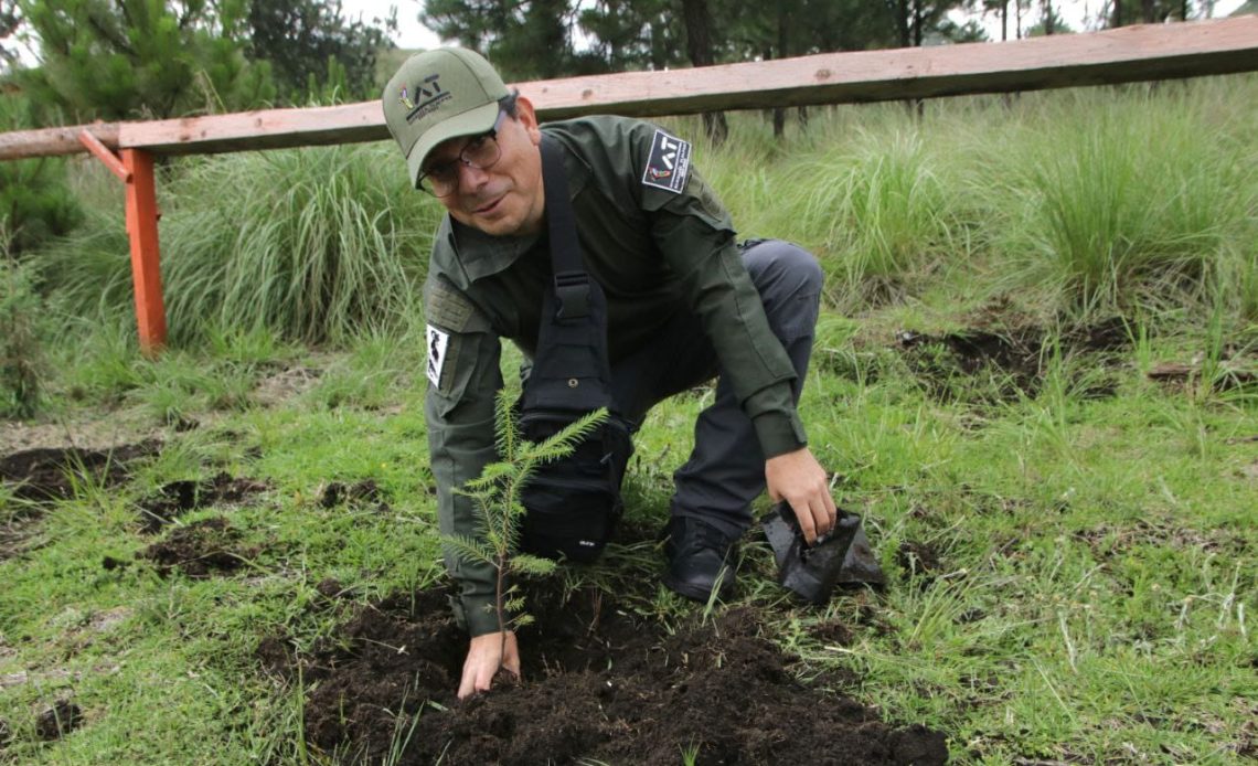 Tlalpan arranca jornada de reforestación 2024