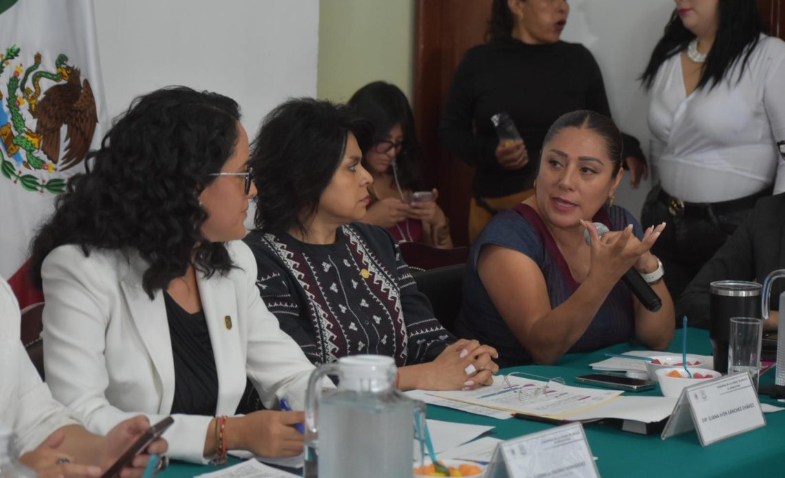Si bien en la Alcaldía Tlalpan aún falta solucionar diversas problemáticas, hay que reconocer que la Titular de esta demarcación, Gabriela Osorio Hernández, sí destina el presupuesto público en lo que las y los habitantes verdaderamente necesitan y además transparenta su manejo, aseguró la diputada Xóchitl Bravo Espinosa.