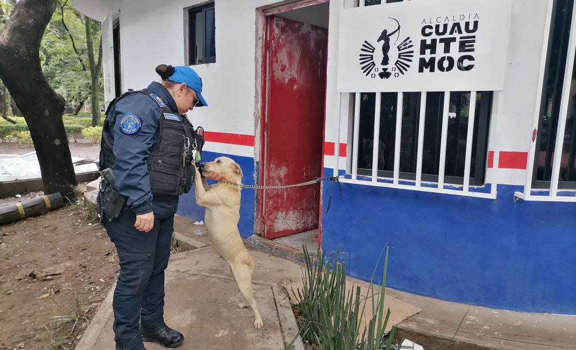 “Abandonar a un animal no solo es cruel, es un delito”, acusa Rojo de la Vega.