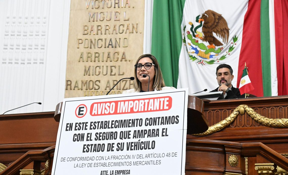 Impulsa PT reforma contra ‘estacionamientos mafiosos’, Jannette Guerrero, diputada PT. FOTO: Especial