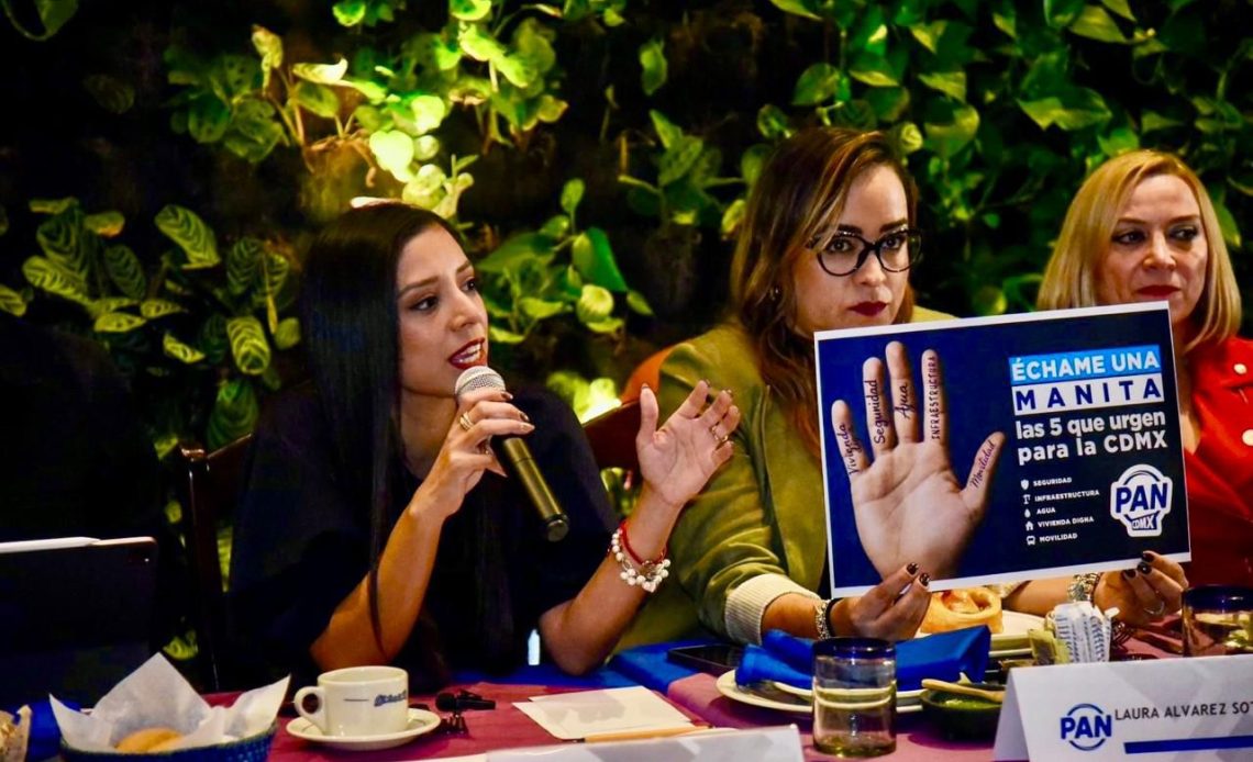 La presidenta del PAN en la Ciudad de México, Luisa Gutiérrez dijo que priorizarán, las causas ciudadanas y no las alianzas con otros partidos políticos. FOTO: Especial