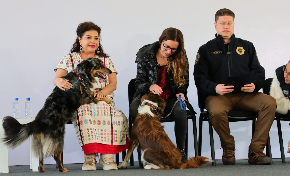 Bien que se busque evitar otros casos de maltrato animal, como el del Refugio Franciscano, pero sobre ello aquí una buena y una mala. FOTO: Especial