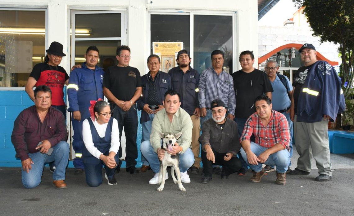 En Benito Juárez se impulsa una cultura que reconoce a los animales de compañía como seres sintientes, con derecho a una vida digna y segura.